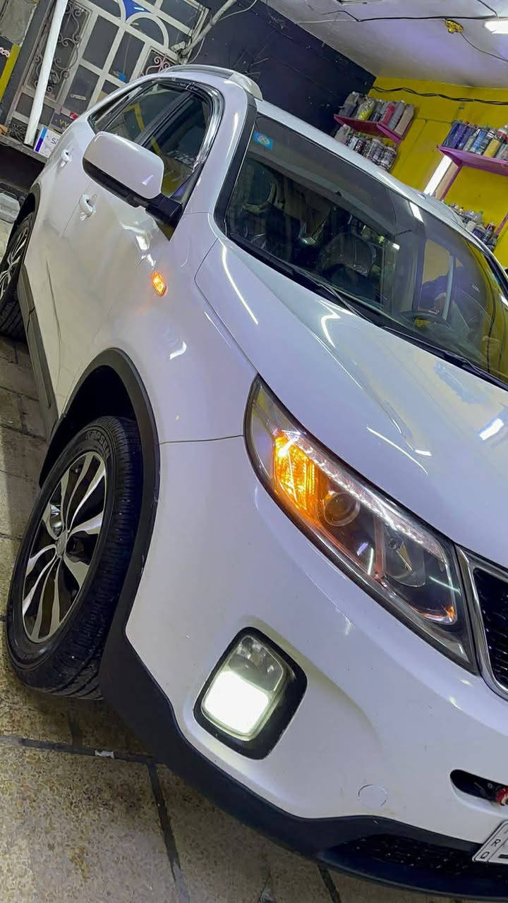 السلام عليكم
سورنتو للبيع 2015خليجي رقم بغداد انكليزي بأسمي سياره جديده وجاهزه تخم تاير جديد مكينه كير حداديه كله جديد 7راكب 3قطع تبريد مكينه 2400 اربعه سلندر مواصفات عاديه بيها صبع 2 ابواب عكس السائق اثر طخه خفيفه الباقي مكفول السعر 155 وبيها مجال كلش بسيط مكاني بالحله

للأستفسار الاتصال على الرقم 

‏‪***********‬‏
