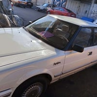 هارتوب • ١٩٩١ • نينوى