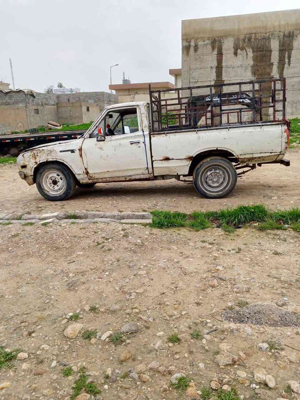 بيكم داتسن ٧٩ رقم مشروع وطني سنويه ٢٨/ كشر كدام العين شقاله  نكره سلف بيه بدايت صرف تواير جدد للستفسار *********** /***********
