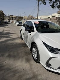 كورلا جيهان • ٢٠٢٣ • رقم اربيل