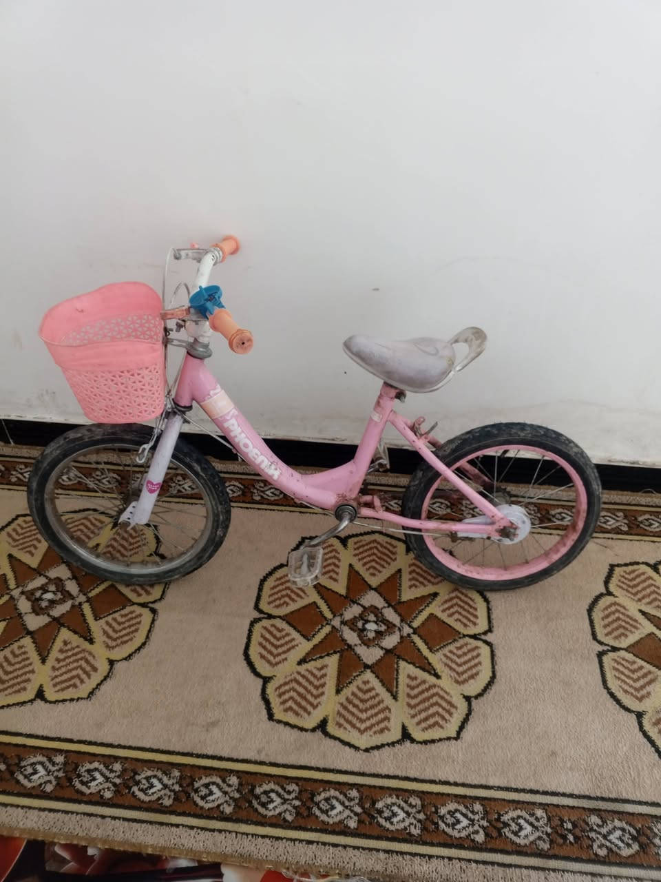 البيع باسكالات لسعر 50 توصل على رقم هاتف ***********
