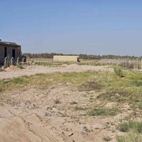 كربلاء الجذار • دونم • واجهة ٢٣م