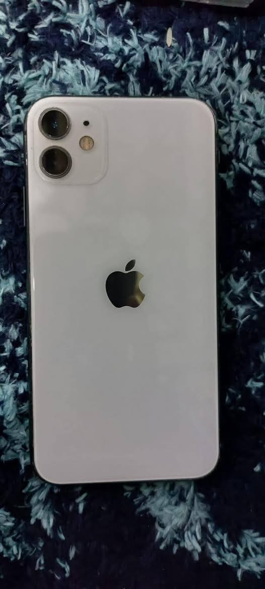 سلام عليكم ورحمه  ايفون 11عادي ذاكره 256 مبدل شاشه شرط وكاله
فيس ايدي شغال بطاريه 78 
وبي زر الصوت الدكم ميشتغلن 
جهاز كله نصيف وعل فحص
 صوت كامره كلشي شغال 
السعر نهايته من الاخير 185
مكاني نجف ***********
