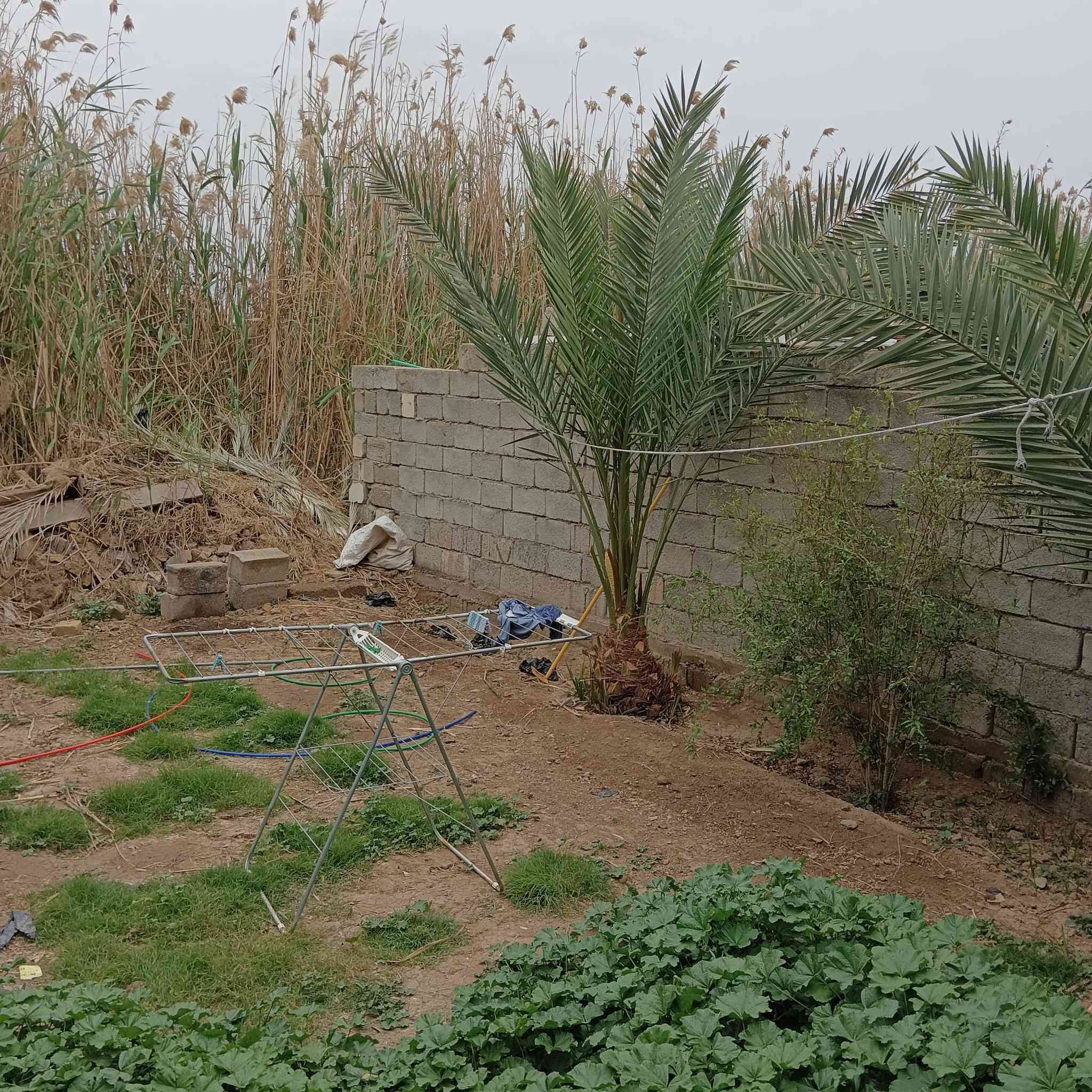 السلام عليكم دار للبيع مساحته 135
غرفه واستقبال وصاله ومطبخ وحمام داخلي وطارمه جبيرة مع حديقه 100متر لورا المكان شهداء بلتجاوزات قريب المزرعه يبعد عن الشارع السايدين الجديد مية متر للاستفسار ***********
