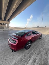 موستنك • ٢٠١٤ • رقم بصره