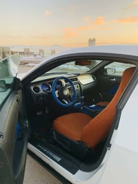 موستانگ • 2010 • فول اوبشن