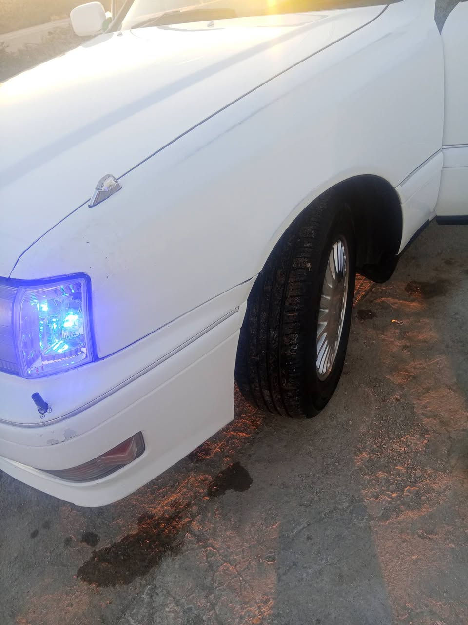 السلام عليكم 

راس الثور للبيع موديل 1998 مشروع وطني كفاله من 

 الكص ونقل الجثه والاصوليات والعيب الشرعي مداور ثاني يوم
 تخم تاير جديد حداديه جديده باتري جديد 

مكينه 2500vvt وكير كفاله السياره للستفسار الاتصال 

 ***********
