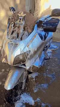 سلام عليكم الحلال البيع دراجه فورجه صفر60 محرك مكفول مكان بغداد المين ثانيه السعر 700وبيه مجال تواصل ***********
