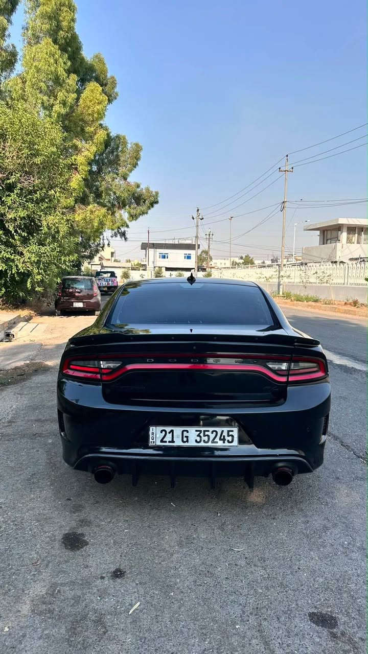 بدون سبوخ شوية بارض و اكو تلقة في امريكا
*********** أربيل, العراق

