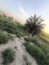 أرض • طريق المطار • ٢٠٠م