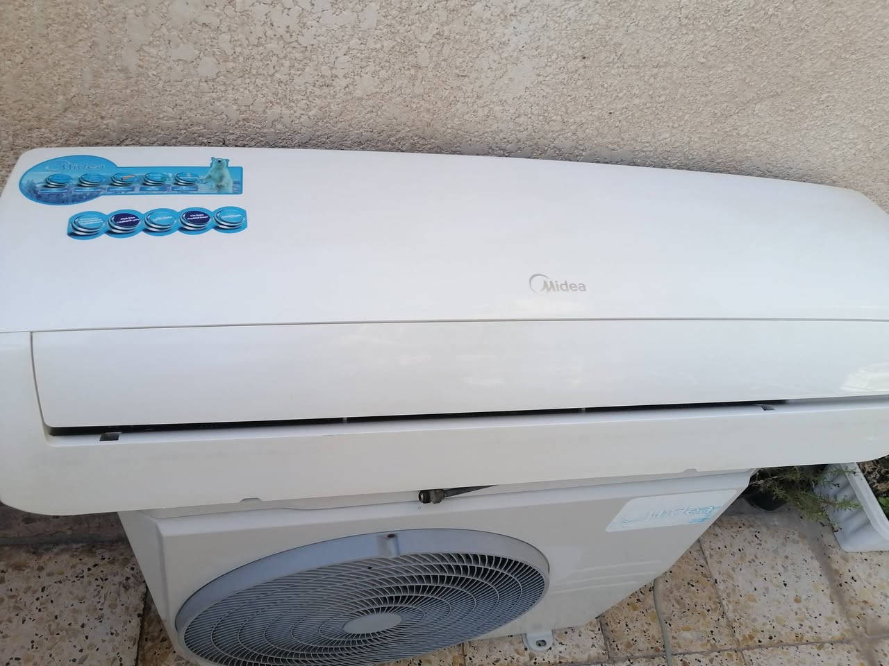 سبلت ميديه درجه اولى طنين للبيع
ممشتغل هواي وتبريده ثلج. ***********
واتس اب ***********
