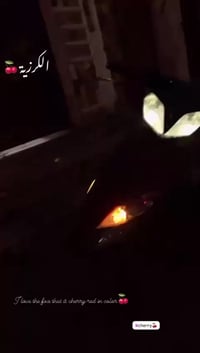 ثعلب نوزل • اوراق • نضيفه