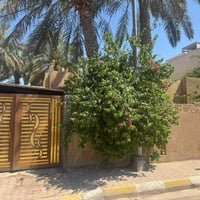 حي الغدير • ٥٠٠م • ٣ غرف