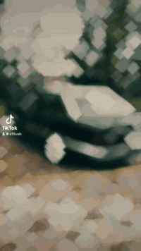 مارسدس دب
موديل: ١٩٩٢
مكينه وكير بطه ٢.٥ ديلكو
قواعد دبلات بيلاد
مكاني خانقين
سعره :٥٨
***********
