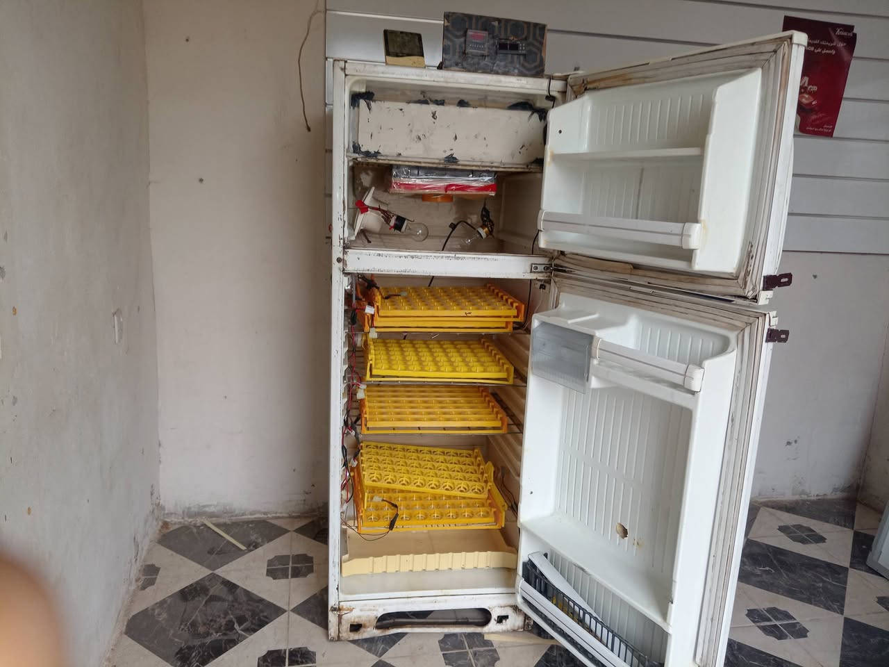 فقاسة البيع وتماتيك سامراء ناحية المعتصم الرقم ***********
