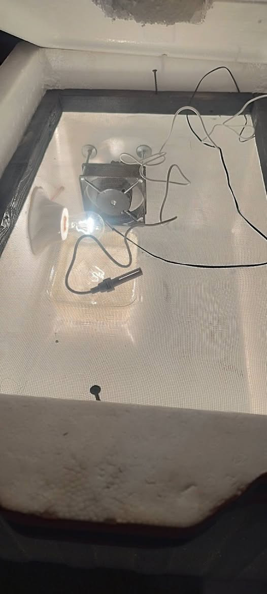 فقاسة حجم كبير تخاد 300بيضه بس اني حاط مشبج واحد ياخد 120بيضه 
سعرها 85الف كسر عرض العيد متوفر توصيل لجميع المحافظات


**إذا كنت صاحب هذا الإعلان وتريد حذفه لأي سبب، رجاءا أرسل رسالة إلى الدعم الفني**