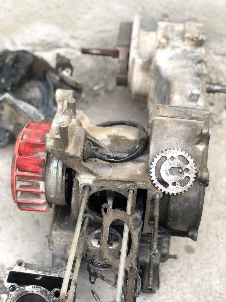 ***********
طابوكة 140 للبيعة كاملة جيب وشد وياهة بوشة وبستم مكفولة من البكن والنضوح
مكاني بغداد حي اور
