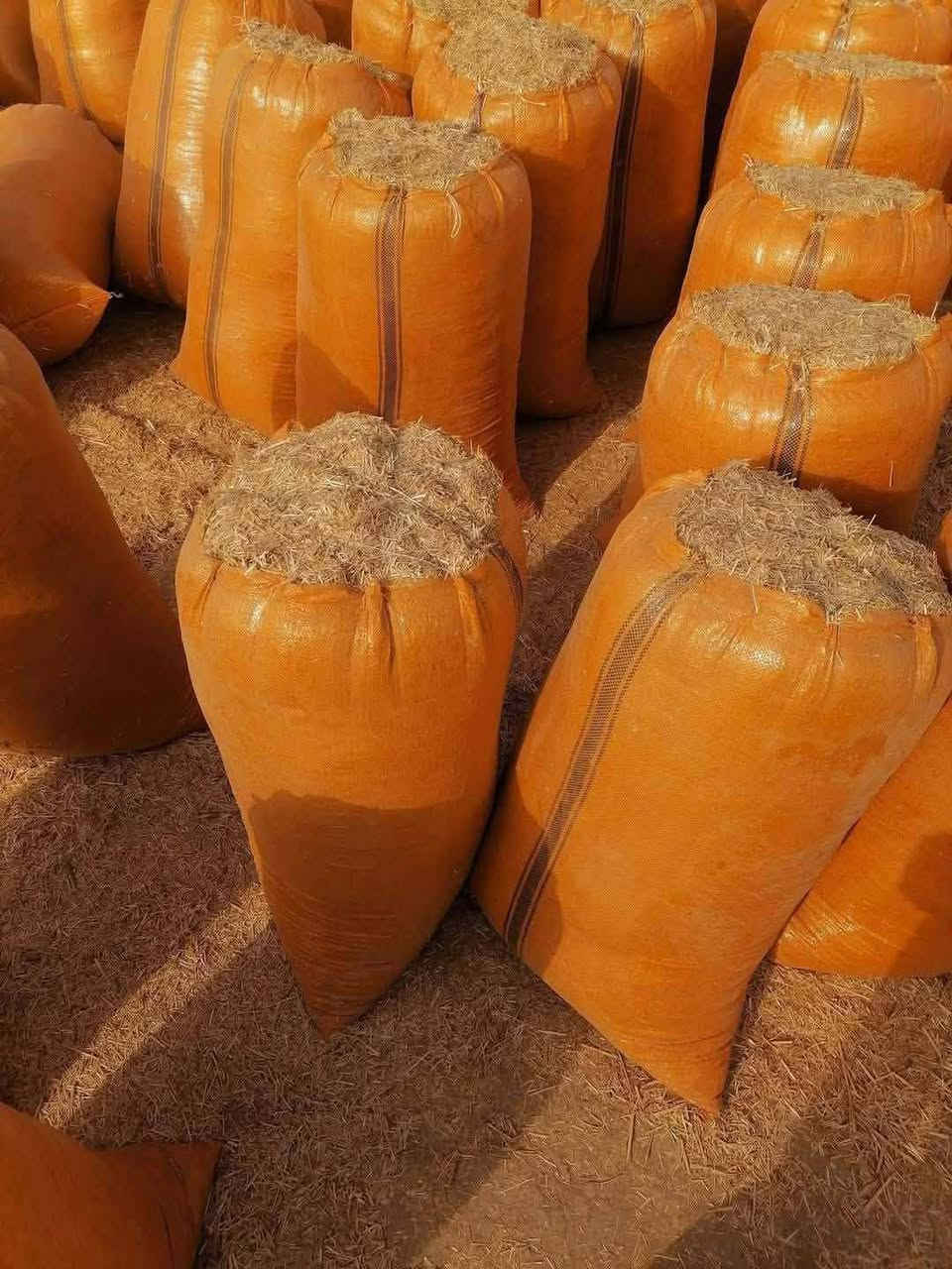 سلام عليكم تبن درجه اولى مكفول شرط النظافه وترس للحجز والاستفسار الاتصال على ***********
