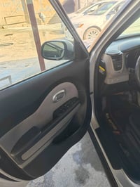 سول ٢٠١٥ • وارد امريكي • قطع صبغ