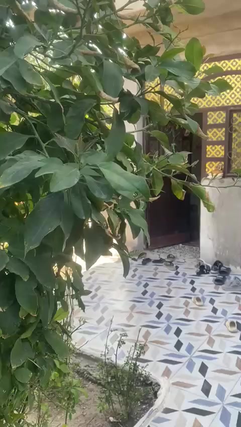 اخوان بيت للبيع المساحه 200متر يحتوي عله ثلاث غرف نوم وصاله واستقبال مطبخ حمام داخلي وحمام خارجي العنوان منطقه السلام قرب بيت اجحيل لتواصل ***********
