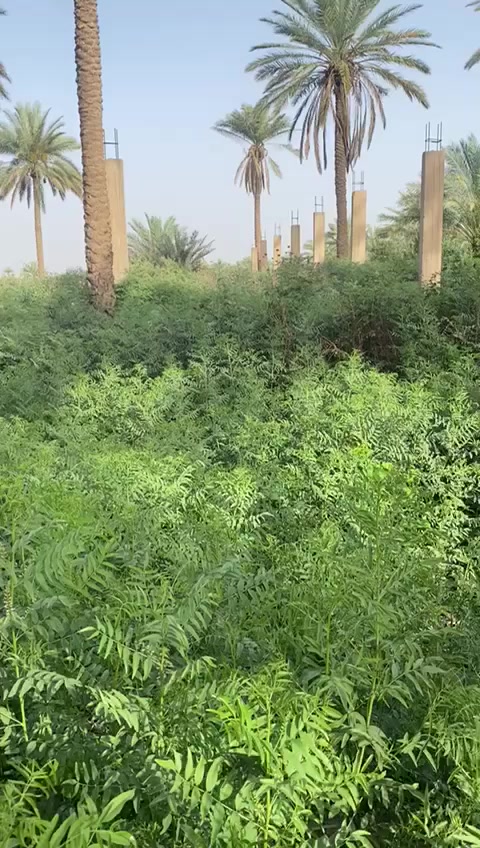 5 دونم ملك صرف بستان بغداد الراشدية مقابل بيت ساجر زبير  ارض المجزره سعر راسنا واتساب***********
