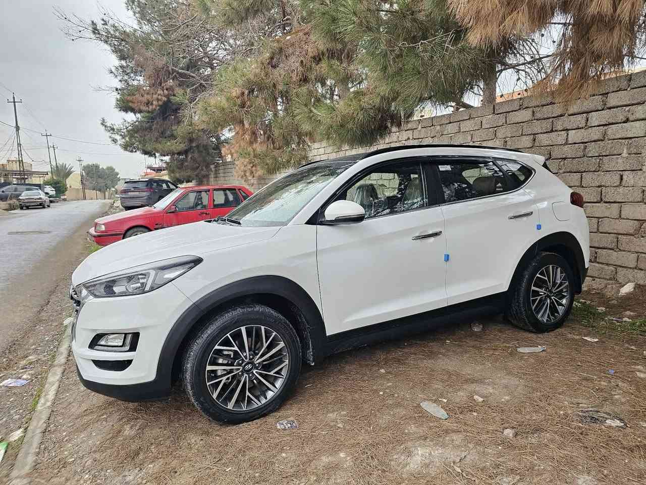 مكلف بل نشر للاستفسار الاتصال فقط                                تكسون مديل ١٩ 
ماشيا ١٢٥ وكالة الكاصد 
ضرر فقط بارد بالبوند 
فول مواصفات ١/١
كشن كهربائي السياق والنفر 
كشن جلد 
بانورما 
شفتات سرعه بالستيرن 
دبل سويج بصمتين 
كوري باي كوري الهندي بريك بل رجل 
شحن موبايل واير ليس 
بيها كابون بانزين 
باقي الموصفات معروفة 
للاستفسار ***********
السعر ٢١٠ بيها مجال بسيط
