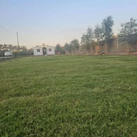 دونم ونص • طابو زراعي • ماء طول السنة