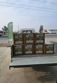 باور ماكس ألماني • مرستيم اسباني • توصيل المحافظات