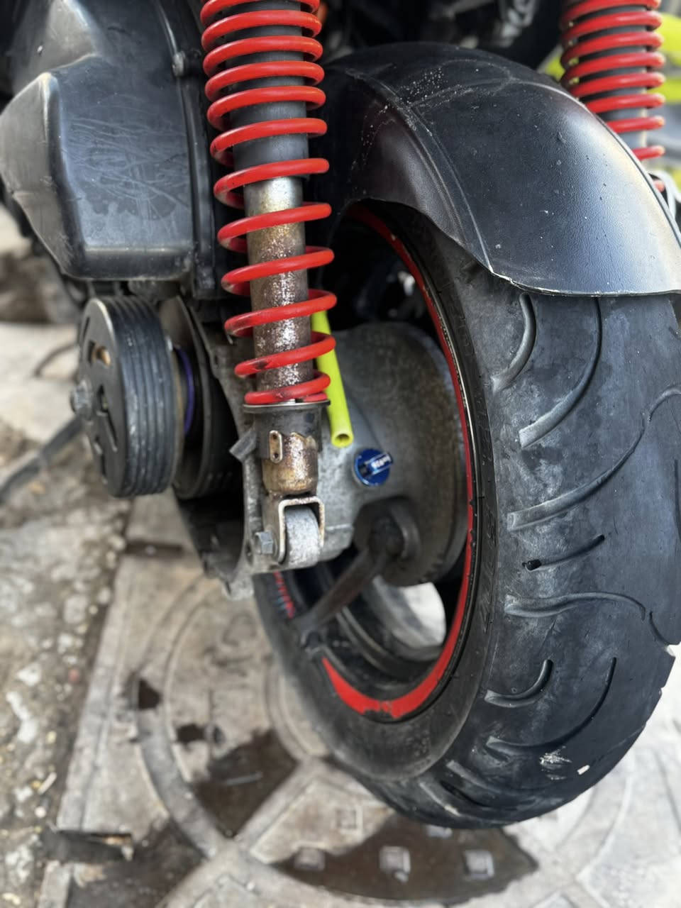 سكنس فحل مال رنبه للبيع مكاني شارع فلسطين 
***********
