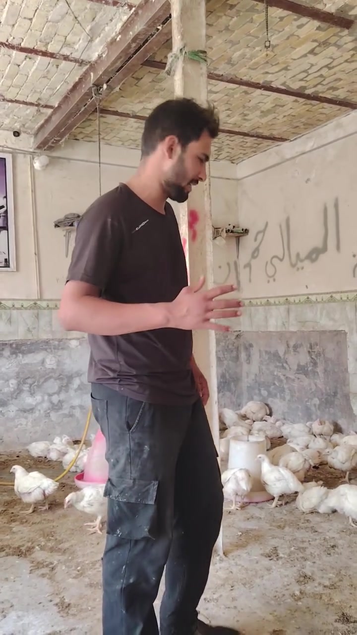اللهم صل على محمد وال محمد عروض اليوم 
دجاجه ام الكيلوين 300 بسعر 7.5
دجاجه ام ثلاث كيلوات بسعر 9000 دينار
دجاجه ام الكيوان بسعر 7000 دينار
افخاذ اجنحه صدر السعر مالتهن على 5000 دينار
رقبه دجاج سعرها 2.5
كبده حواصل سعرها 4000
بس كبد سعرهن خمسه
العنوان فلكه الجبور مقابيل البوش محل ابو غزوان متوفر توصيل هاذي رقمي ***********
