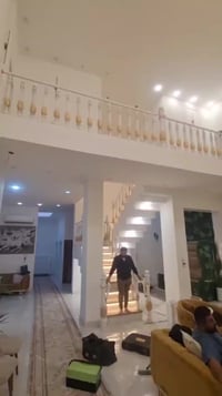 عرانيص ملكية • بلاستيك ABS • ارتفاع ١م