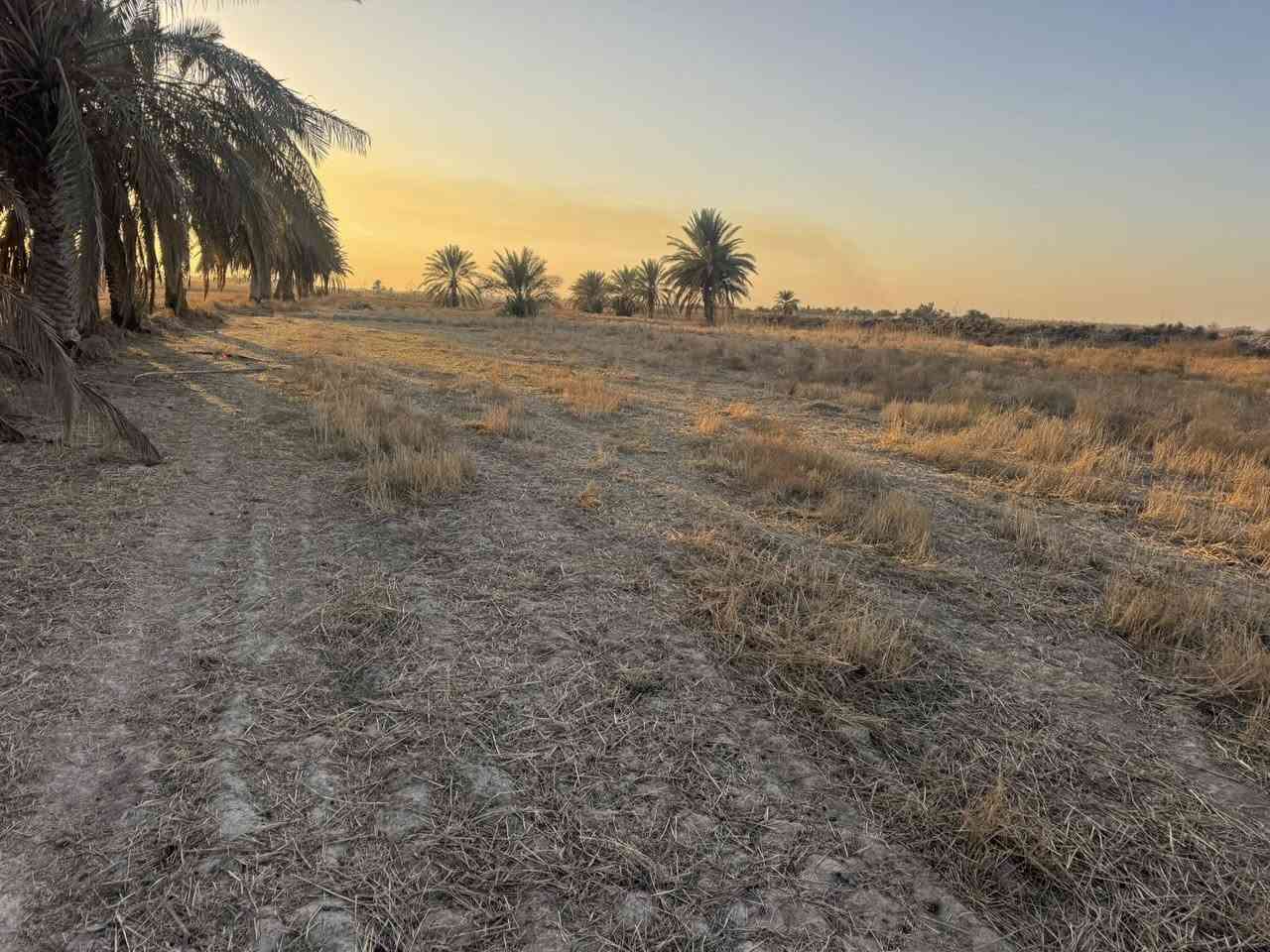 سلام عليكم ارض طابو للبيع المساحه 30 دونم سند مستقل بأسم شخص واحد الارض مكانه حلوه يوجد فيه كهرباء+ماء وكافّة الخدمات تصلح مجمع سكني او شاليات العنوان طريق كربله نجف طريق مفرك الكفل عمود 350 
استفسار.   ‭***********
