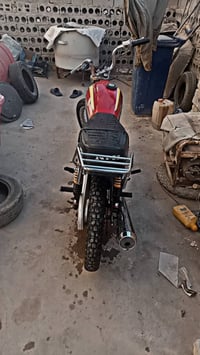 تايكر ٢٠١٩ • ٤٠٠ سي سي • أوراق أصلية