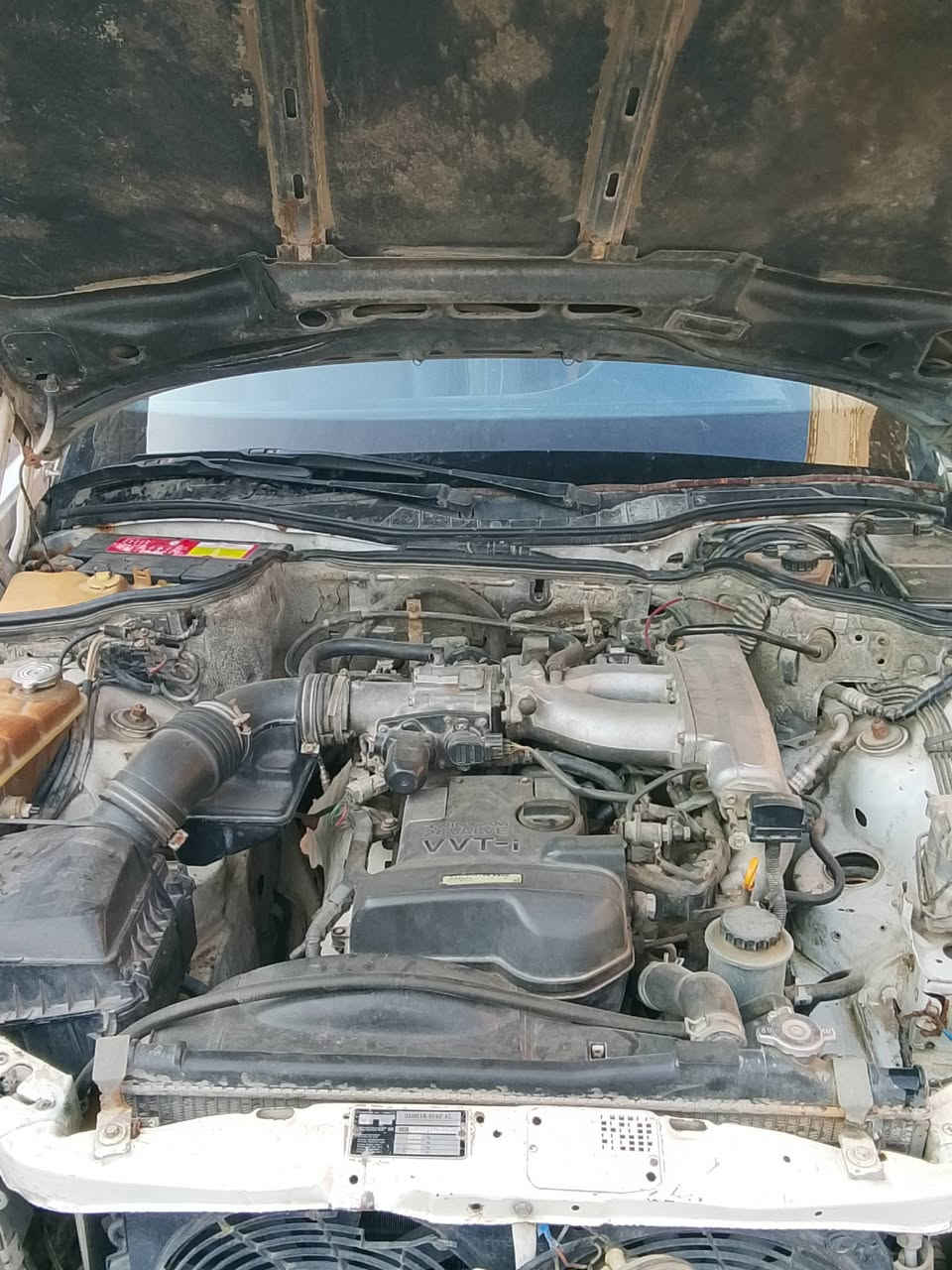 السلام عليكم أحبتي تم إعادة النشر بسبب الوعود الكاذبة جامبو 560 رقم بغداد موديل 88 باسمي تحويل مباشر محرك ففتي 3000 خير من الله كهربائيات كل شغاله تبريد ثلج كشنات كهرباء جام كهرباء غرفته حلوه الاستفسار على ***********اومراسله تم تنزيل السعر 55وبيه مجال حياكم الله تحياتي للجميع
