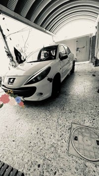 اخوان عند بيجو فرنسي 206موديل 2012السياره رقمهه بغداد السياره بيهه شوي...