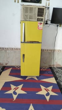 شغال • تجميد • زديناويه