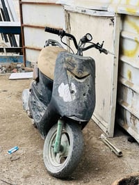 عصفوريه • شغاله • شلعه فول