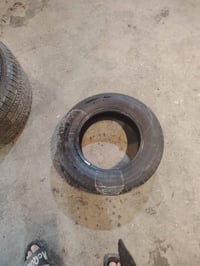 تخم تاير • حجم ١٣ • سبع البور