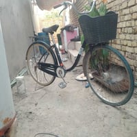 باسكل • قفل • مقاس ٢٦