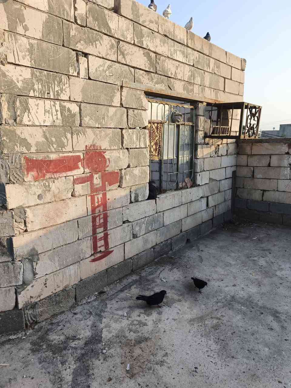 ألسلام عليكم ورحمة ألله وبركاته 👋 
للاستفسار : ***********‬
توفر دار سكن للبيع 🏭 
مساحة البيت200
على شارع تبليط مباشراً 10م
جميع الخدمات متوفره
مدارس أهليه حكوميه 
مستوصف كلشي قريب عليك
محتويات البيت⬇️
دوانيه
وصاله
وغرف عدد 2
مطبخ
صحيات خارجي + داخلي

طابق ثاني هيكل ⬇️
صاله
غرف نوم عدد 2

نوع العقار طابو زراعي عراقي
سند 25
العنوان : البصره أبي لخصيب 
طريق ألوسطي مقابيل مدرسة طيور لخصيب لاهليه
يبعد عن طريق ألوصطي رئيسي مسافه 40 م

سعر ألبيت 80 مليون وبي مجال
للاستفسار :***********‬
