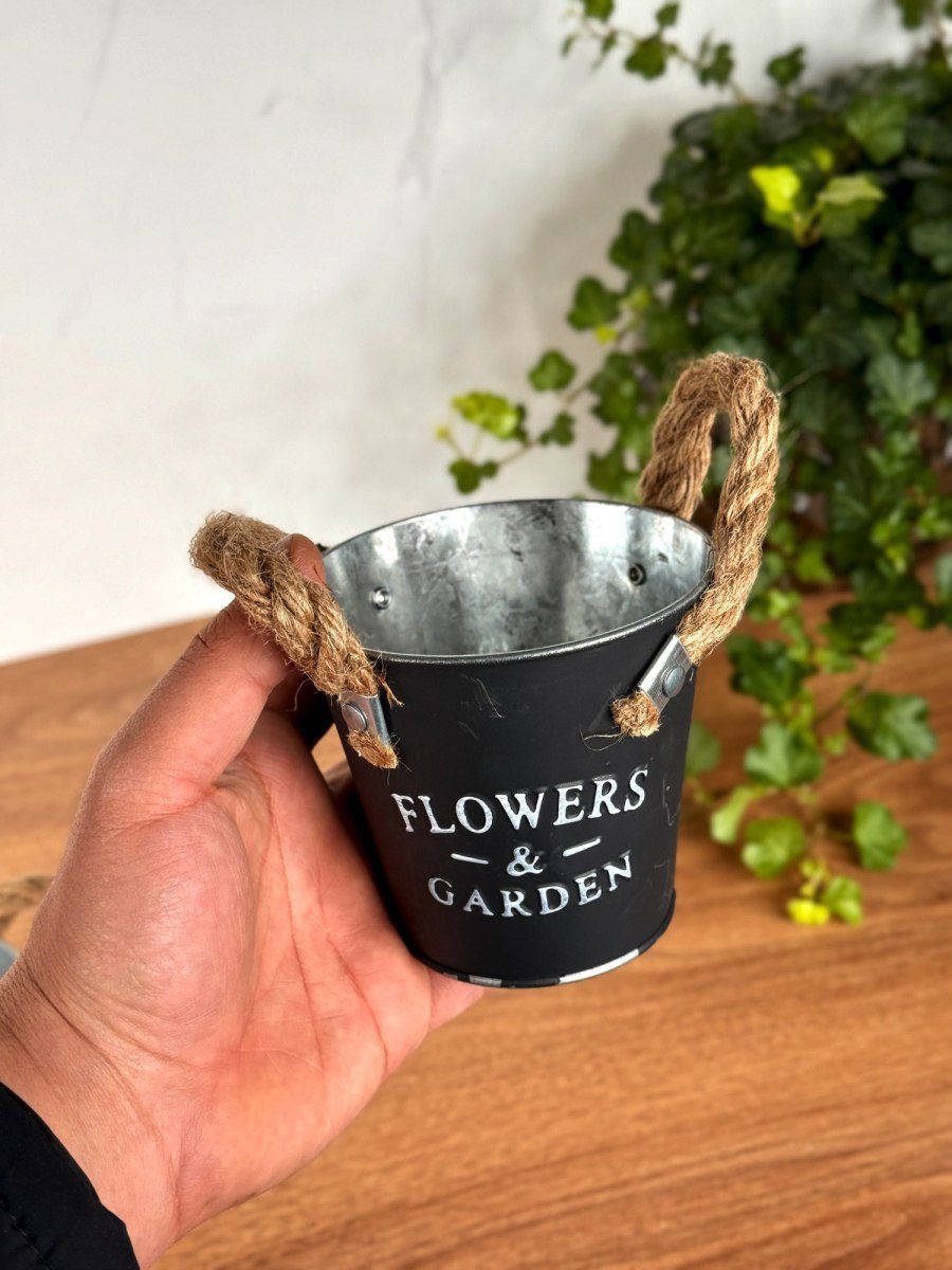 شباب 12قطعه بهذا شكل سندانه معدني مو بلاستك ب23الاف مع توصيل


**إذا كنت صاحب هذا الإعلان وتريد حذفه لأي سبب، رجاءا أرسل رسالة إلى الدعم الفني**