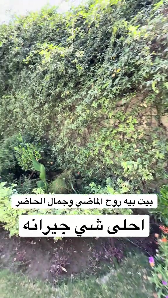شركة عالم الرؤيا للاستثمار والتطوير العقاري 📍 بغداد - الحارثية بيع وشراء وتسويق وإدارة العقارات في بغداد وجميع محافظات العراق عقارات بغداد بيوت للبيع بغداد شقق للبيع بغداد أراضي للبيع بغداد عمارات للبيع بغداد مجمعات سكنية عقارات تجارية فرص استثمارية استثمار عقاري عقار فاخر بيت فاخر للبيع شقة تمليك أرض استثمارية عمارة تجارية مكاتب ومحلات أفضل العقارات في بغداد المنصور الحارثية الجادرية الكرادة زيونة الأعظمية الكاظمية بغداد الجديدة اليرموك السيدية العامرية الجامعة الدورة الغدير الشعب البلديات البياع أبو غريب عقارات العراق عقارات أربيل عقارات السليمانية عقارات دهوك عقارات دبي عقارات تركيا عقارات سلطنة عمان للتواصل: *********** *********** *********** *********** Instagram: شركة عالم الرؤيا Facebook: شركة عالم الرؤيا TikTok: DA RU IRAQ TikTok: Vision World Company #عقارات_بغداد #عقارات_العراق #بيت_للبيع #شقة_للبيع #ارض_للبيع
