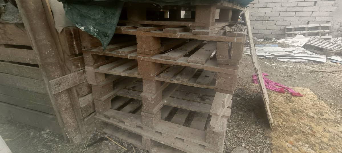 سلام عليكم
دراجه عاطله ومتروكه سعر 200 وبيهه مجال 
كابون تغليف نوع ثقيل سعر القطعه 500 دينار 
حطب كبار 3 ستوتات حمل راسلني ونتفق ع السعر
سكيبات خشب عدد 15 سعر القطعه الف دينار 
بايسكلات 2 كبير وصغير سعرهم 25 الف اثنينهم 
***********
