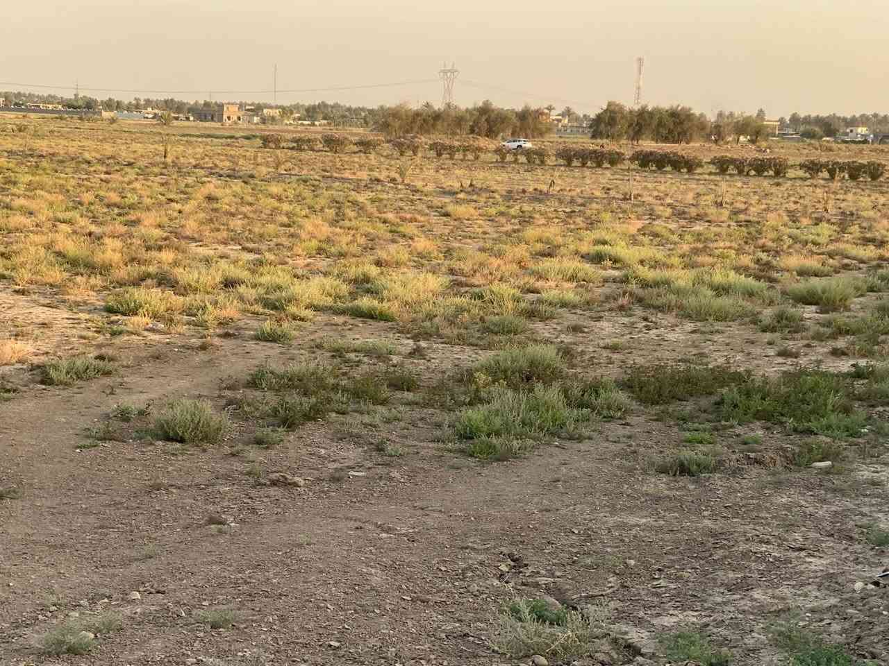 ( 10  دوانم طابو تقع بغداد ناحية الرشيد قرب الدولي )
دوانم جاهزة لمشروع صناعي او تجاري او سكني مخدومة بالكامل ومقابلها منطقة طابو سكني  ونهر اروائي 

جنس العقار   / طابو زراعي سند 25 تحويل بطابو التسجيل العقاري في بغداد المحمودية 

الموقع  / بغداد ناحية الرشيد  قرب مفرق السريع الدولي منطقة الجسر الاول الذي يبعد ربع ساعه عن الدورة

***********

***********
