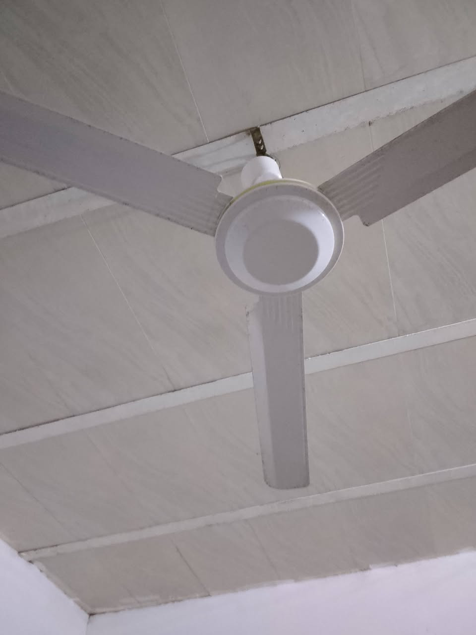 سلام عليكم غراض للبيع كلهن ب80وياهن ميزان ما مصوره


**إذا كنت صاحب هذا الإعلان وتريد حذفه لأي سبب، رجاءا أرسل رسالة إلى الدعم الفني**