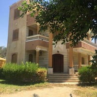 ٣٥٫٥٠ فدان • مانجو يوسفي زيتون • عشر خيل عربي