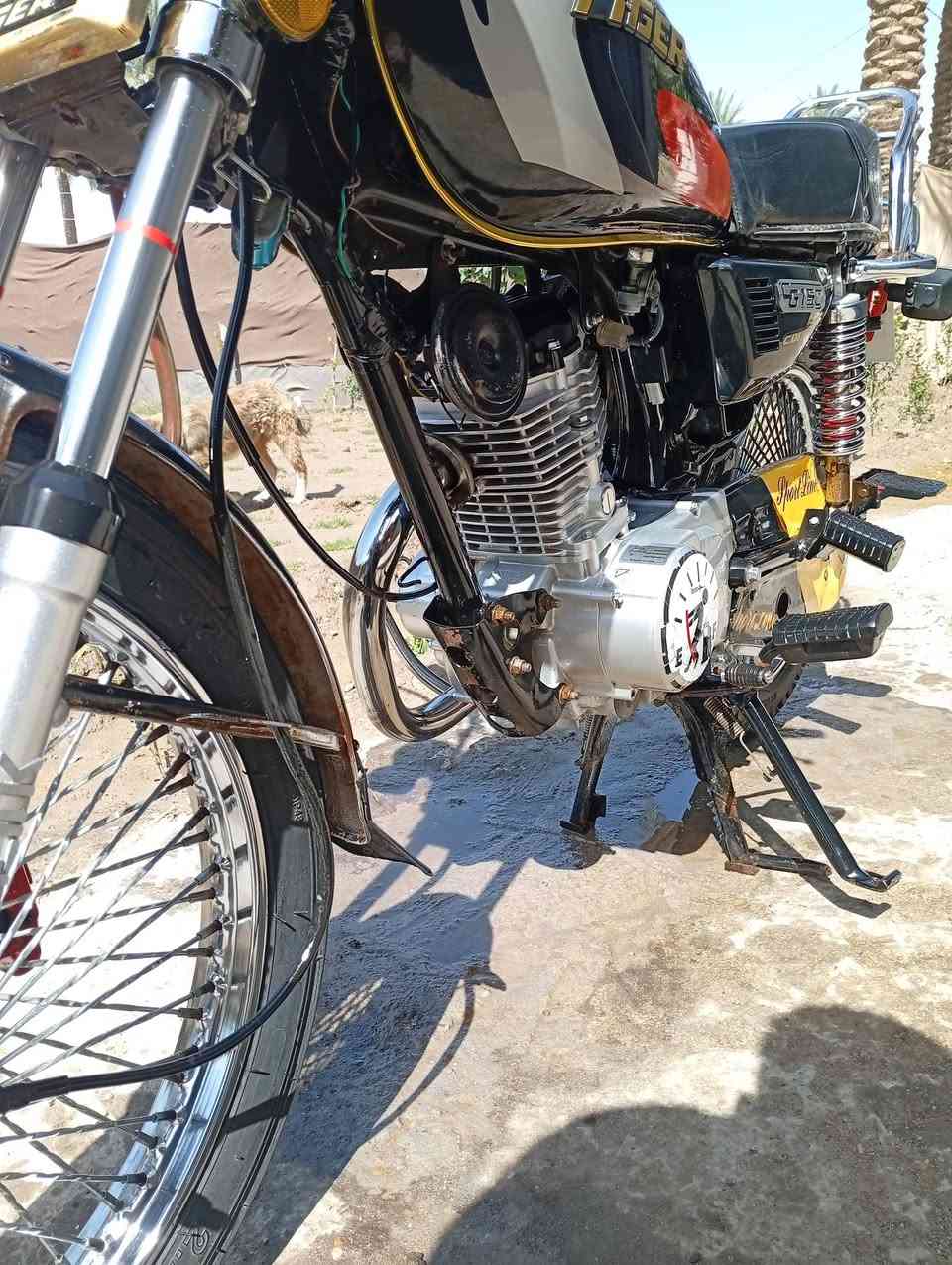 سلام عليكم  شباب دراجه تايكر موديل 24
اوراق  مكان بابل محاويل  سعر 550 وبيه مجال هاذ رقم ***********
