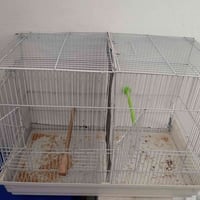 قفص ابو القاطع • بعقوبة الرحمة • ديالى