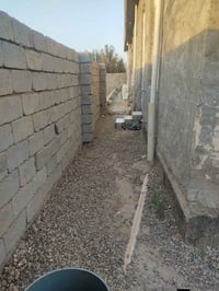بيت مساحه 550 زراعي 17 في منطقه هور الباشا التفاصيل كلها في هذا الرقم ...