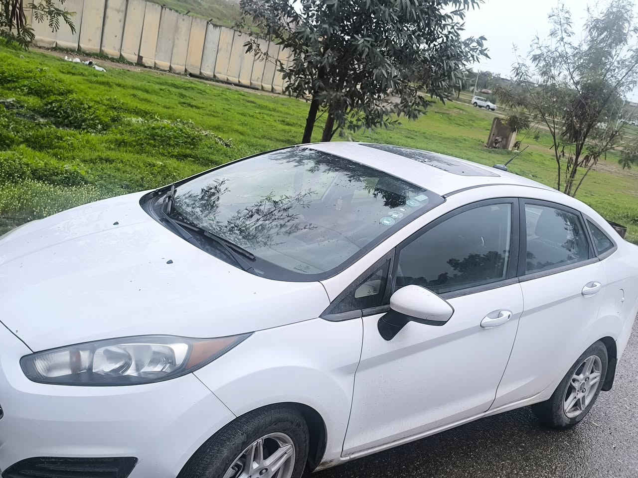 فور فيستا  السعر 80  ورقة  موديل 2019 ماشية 180 مواصفات  se تنتة و12 ايرباك مثبت سرعة ،، السيارة جاهزة خليتلها تايرات وبدلت حدادية خلف وامام السنوية تنتهي ب2026
صاحبها ابو معارض اربيل باقي علي 200$ مال تحويل انا ادفعهن، ، السيارة موجودة بكركوك او اربيل، ،  وارد امريكي ضربتها من الخلف فقط وضربتها عندي محددها بالصورة.


**إذا كنت صاحب هذا الإعلان وتريد حذفه لأي سبب، رجاءا أرسل رسالة إلى الدعم الفني**